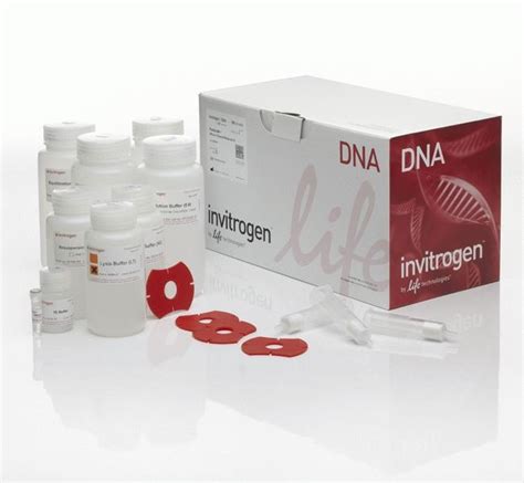 purelink hipure plasmid midiprep kit.